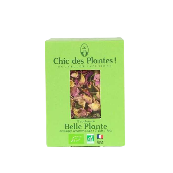Infusion Rose "Belle Plante" - Rose de Damas, Framboise, Baie Rose - Détox - 12 sachets - Chic des Plantes