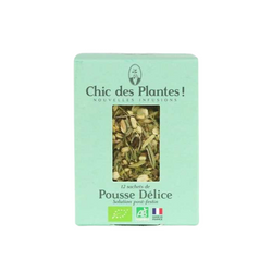 Infusion Verveine "Pousse Délice" - Verveine, Menthe Poivrée et Romarin - Digestion - 12 sachets - Chic des Plantes